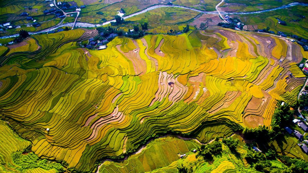 Rice paddies in Mù Cang Chải, Vietnam.