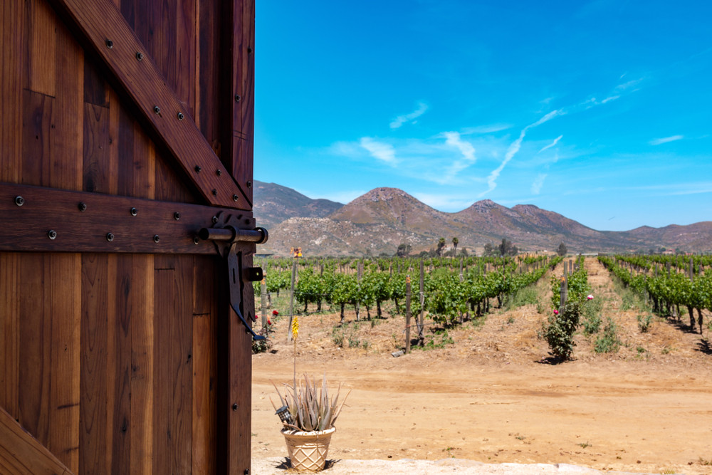 Ensenada, Mexico, Baja California.