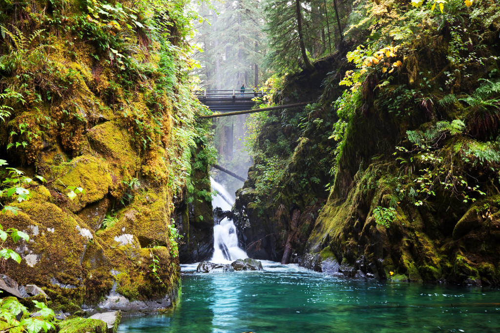 Olympic National Park, Port Angeles