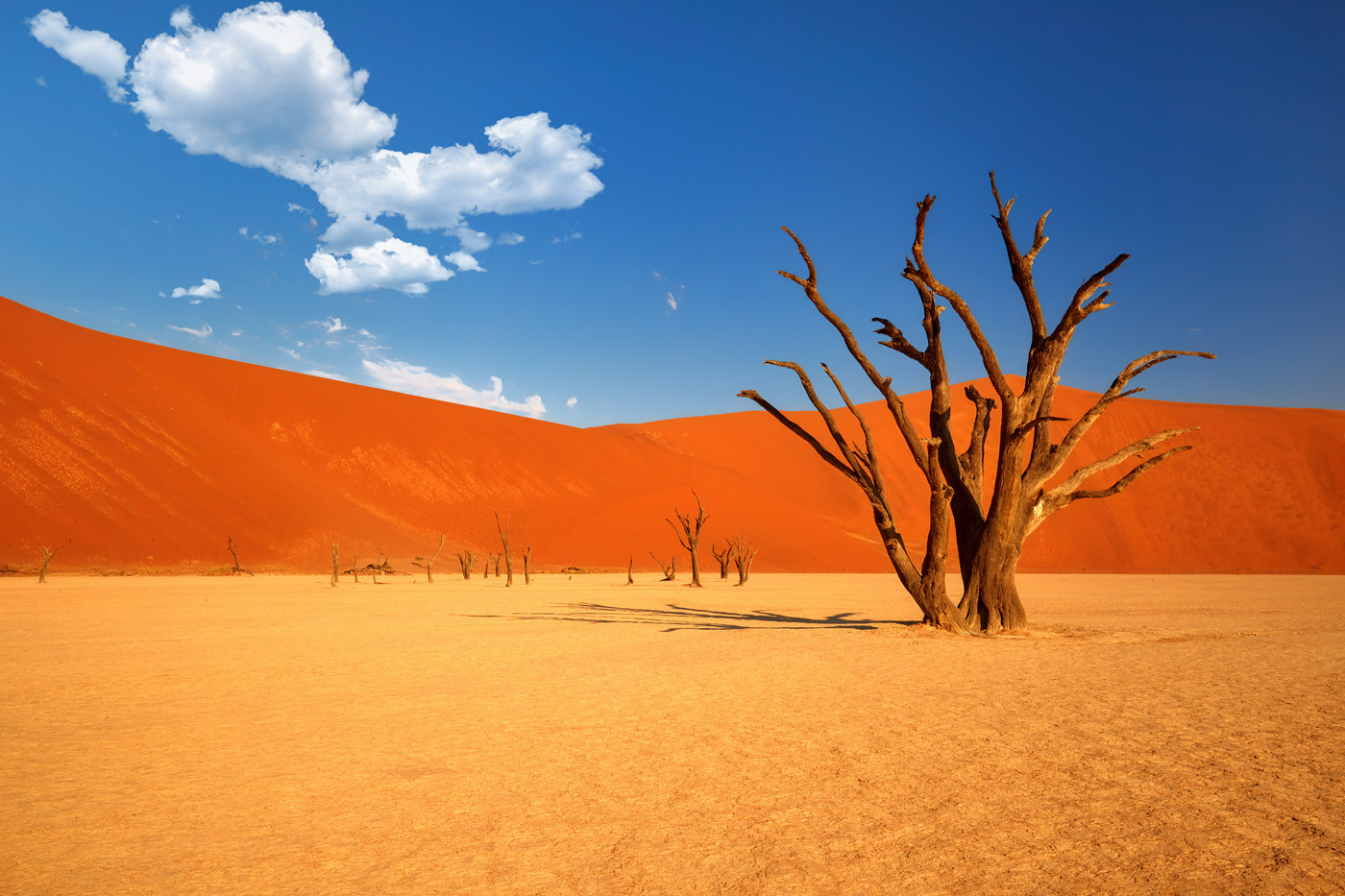 Deadvlei, Sossusvlei