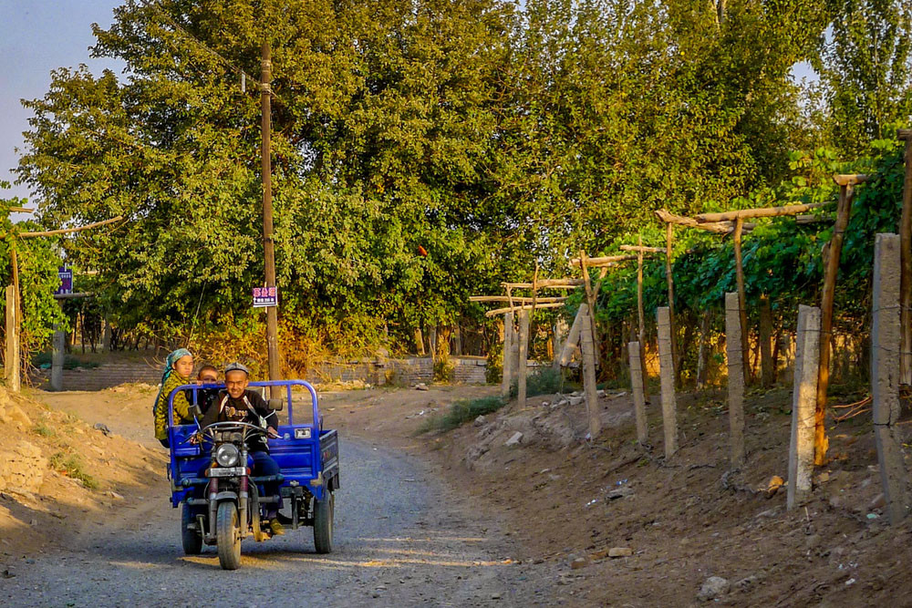 Motorcycle vineyard tour, Turpan, China. Kylie Nicholson / Shutterstock.com