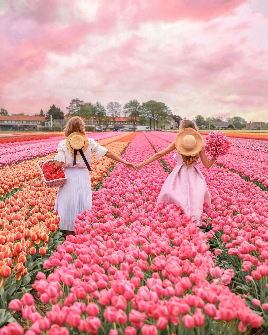 Keukenhof