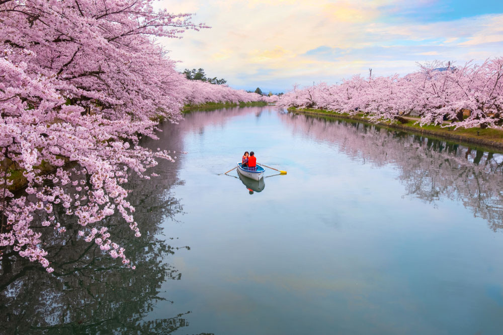 Hirosaki Castle Park, Japan. cowardlion / Shutterstock.com