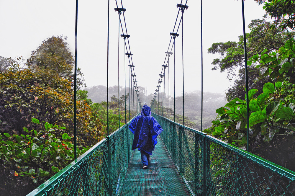 Monteverde Cloud Forest Reserve, Monteverde, Costa Rica.