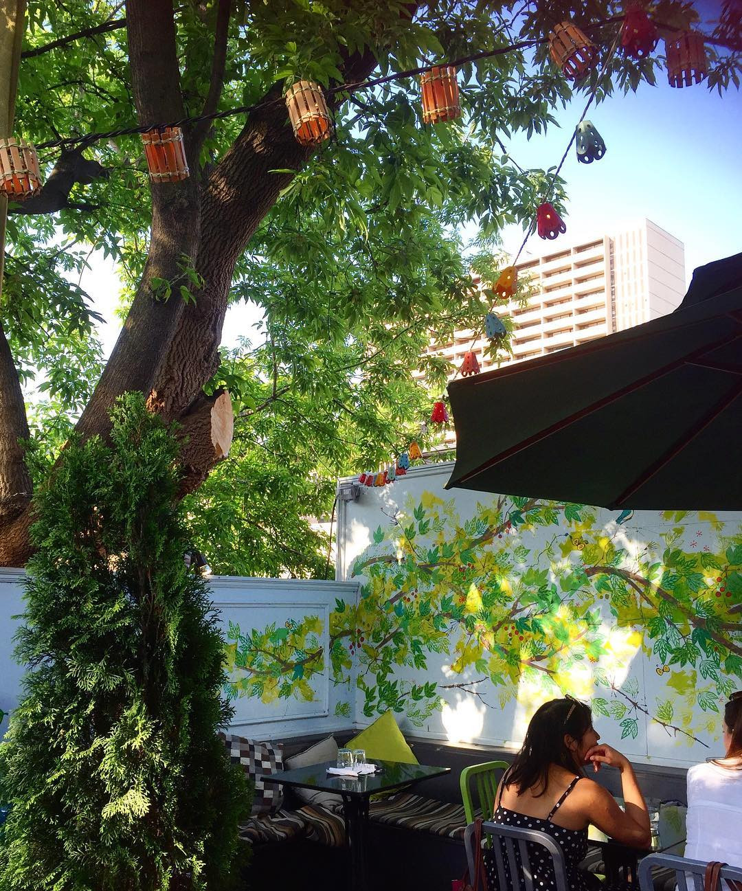 The Harvest Kitchen, Toronto, Ontario, Canada. instagram.com/sareesandjeans