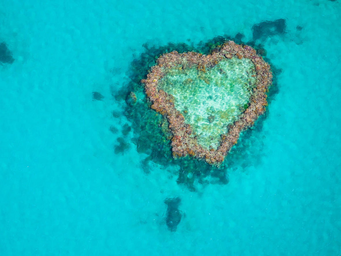 Heart Reef, Hardy Reef, Great Barrier Reef, Australia.