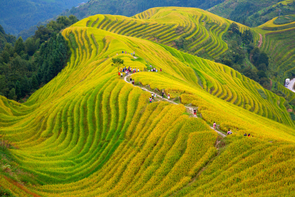 Longsheng Rice Terraces, Guilin, Guangxi, China. 