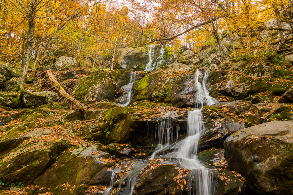 Dark Hollow Falls, Robertson