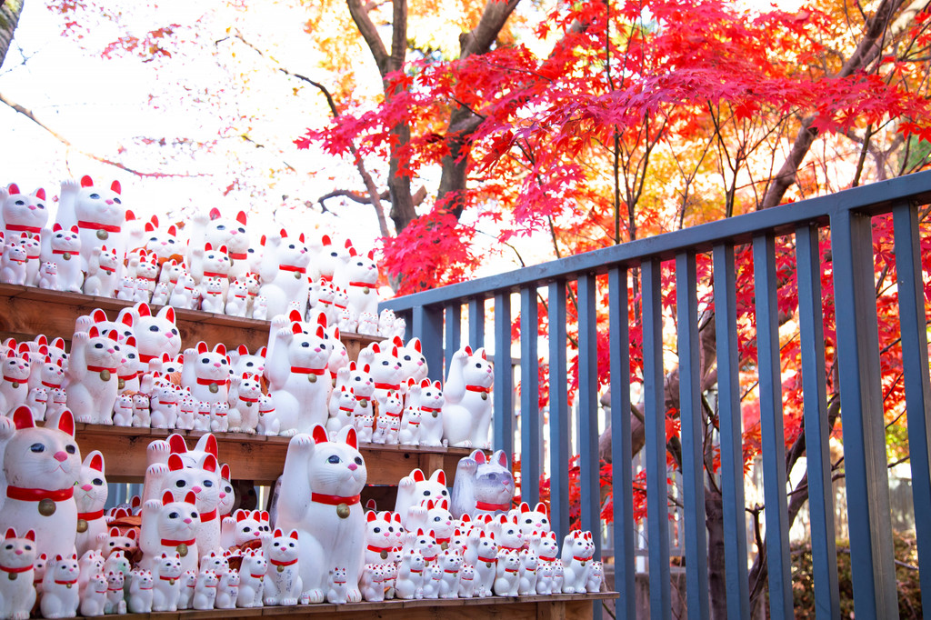 Gōtokuji Temple, Setagaya City