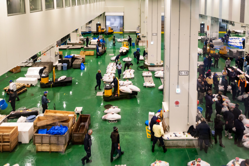 Toyosu tuna auction, Tokyo, Japan. Osugi / Shutterstock.com