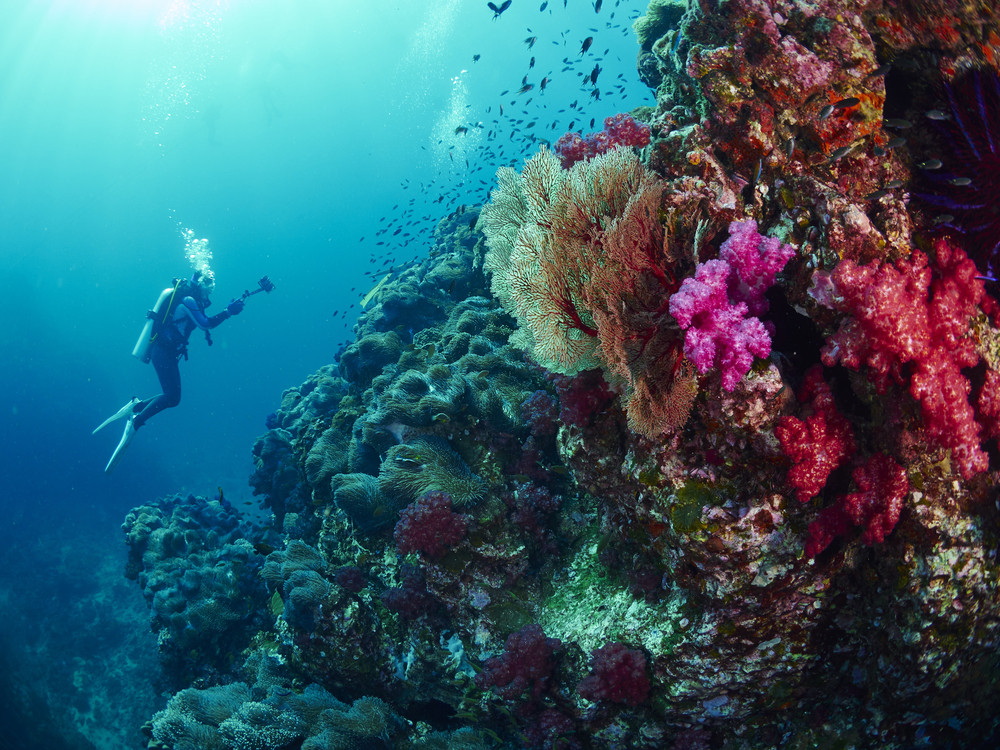 Diver in Thailand.
