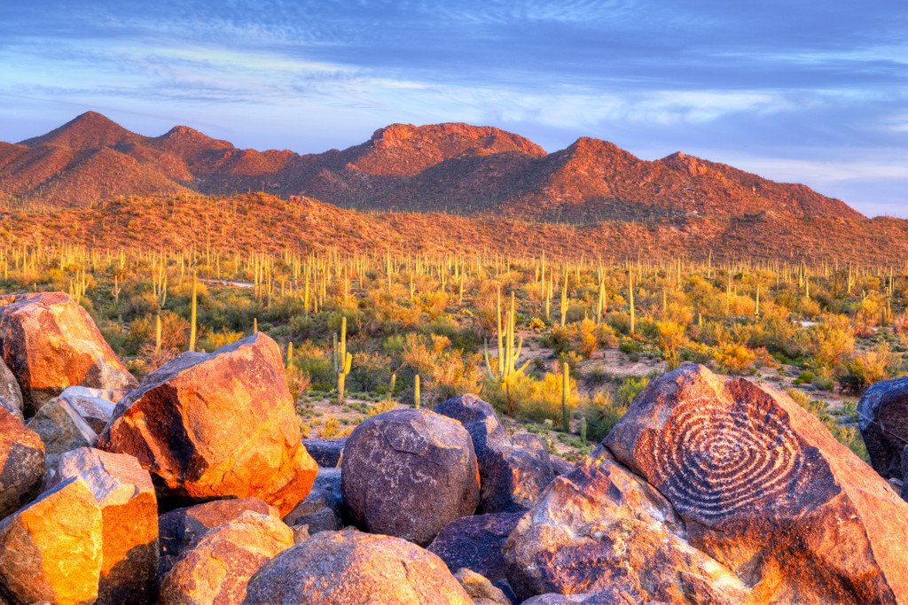 Saguaro National Park,