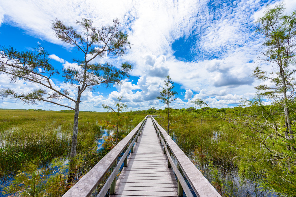 Everglades National Park,