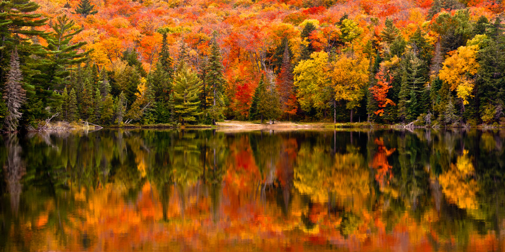 Ontario, Canada.