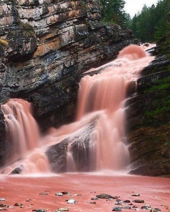 Cameron Falls, Alberta, Canada. @erinnvstyle
