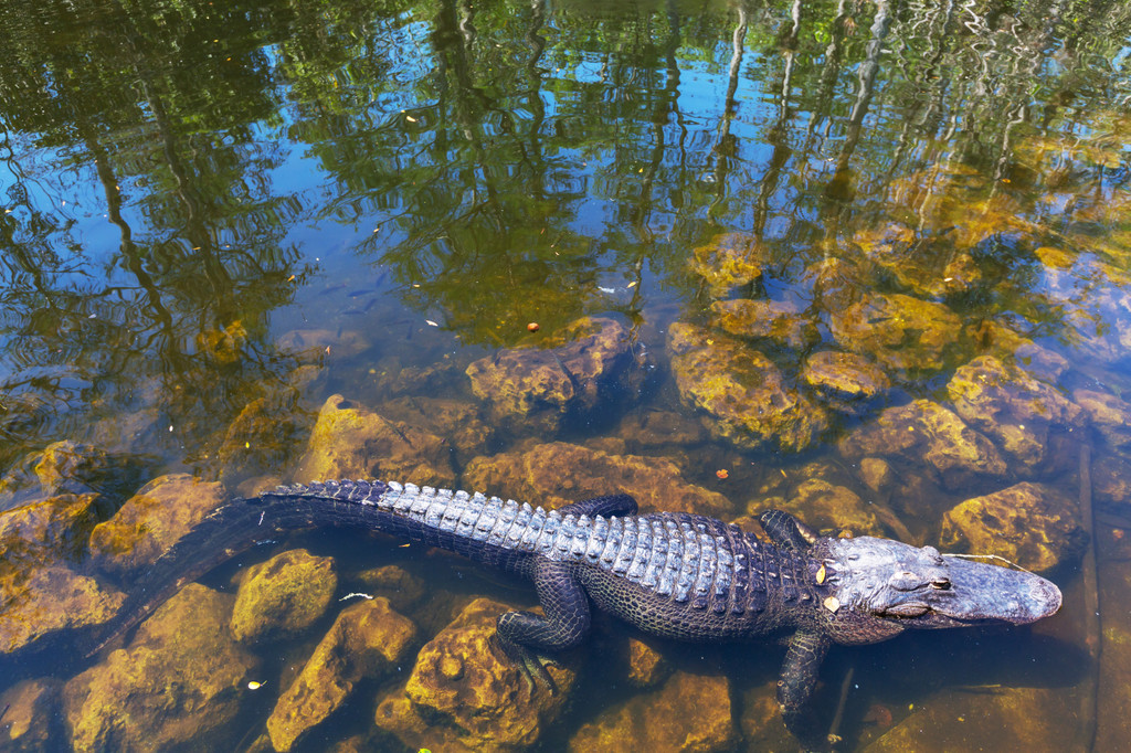 Everglades National Park, 