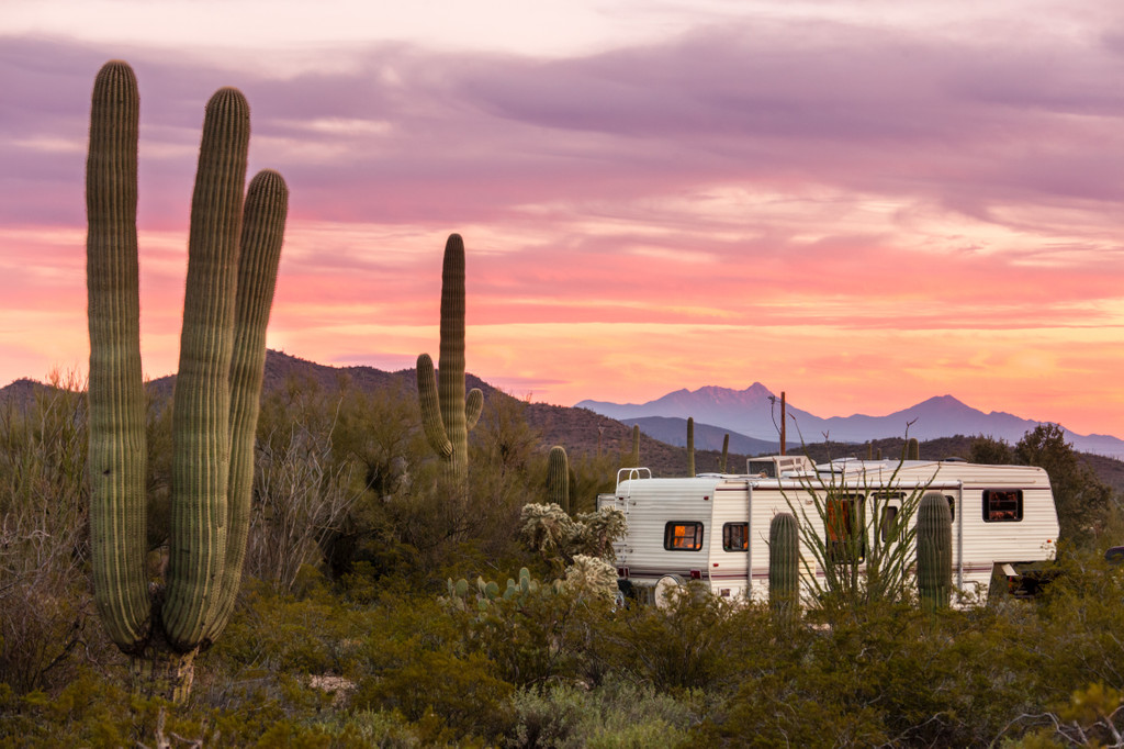Saguaro National Park,