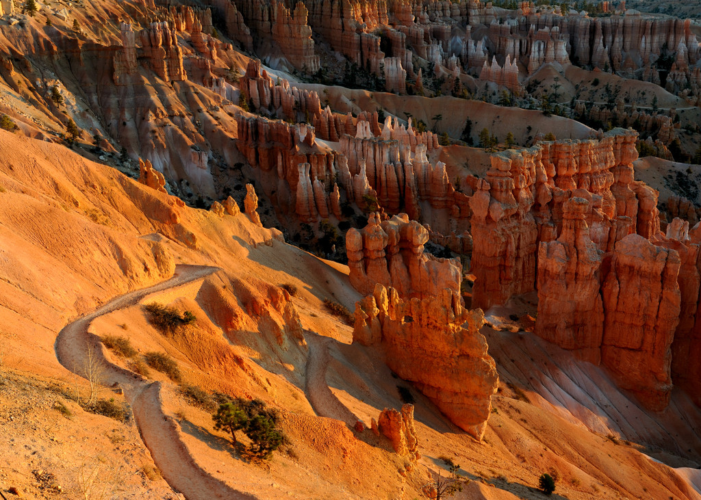 Navajo Loop Trail, Bryce