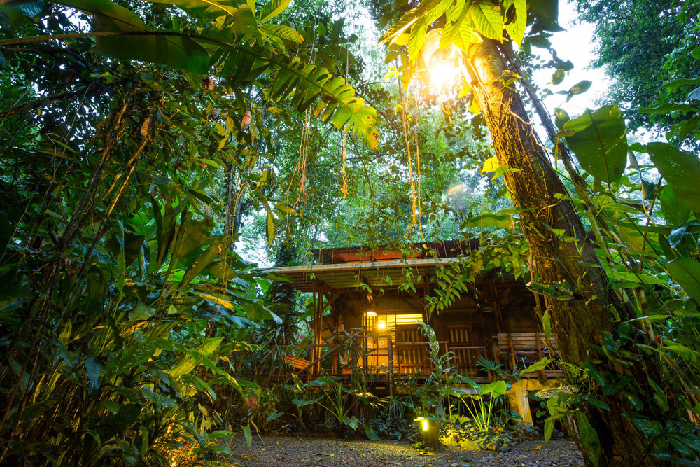 Tropical Destination Eco lodge, Puerto Viejo, Costa Rica.