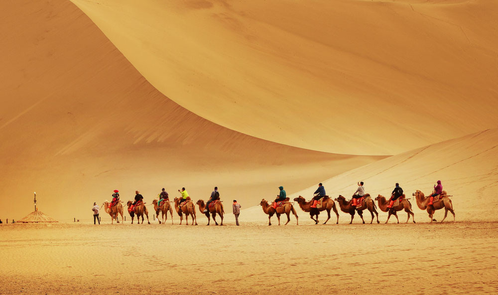 Camel caravan in the Gobi desert, Dunhuang, China.