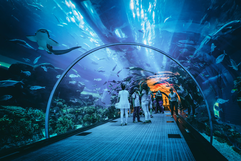 Dubai Aquarium, Dubai, UAE. PlusONE / Shutterstock.com