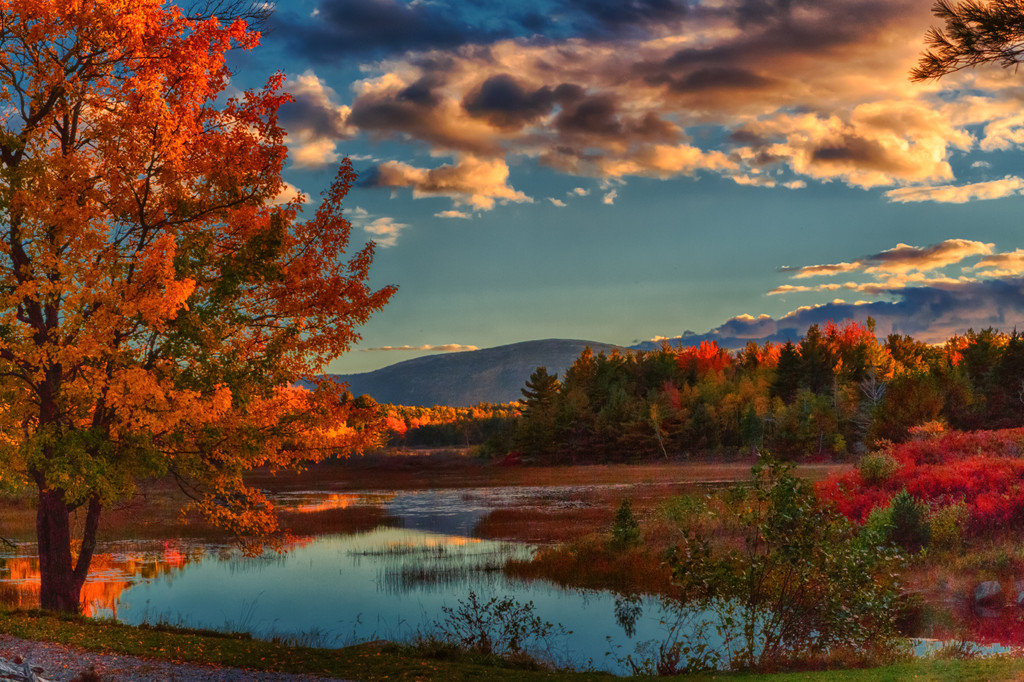 Acadia National Park,