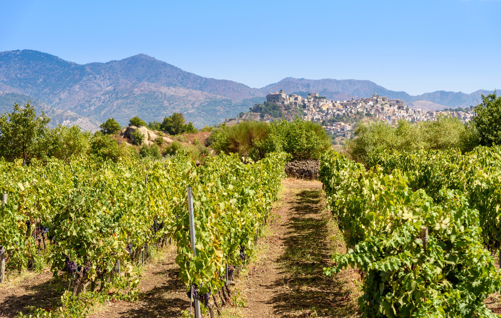 Etna Wine School (Office Only), Riposto