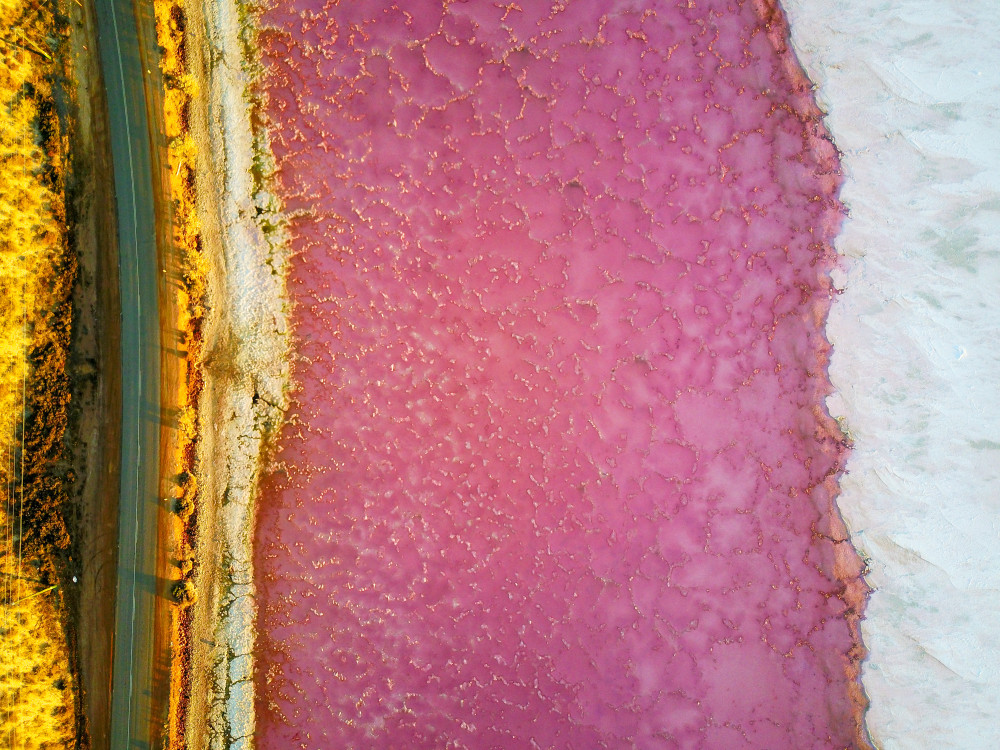 Hutt Lagoon, Gregory, Australia.