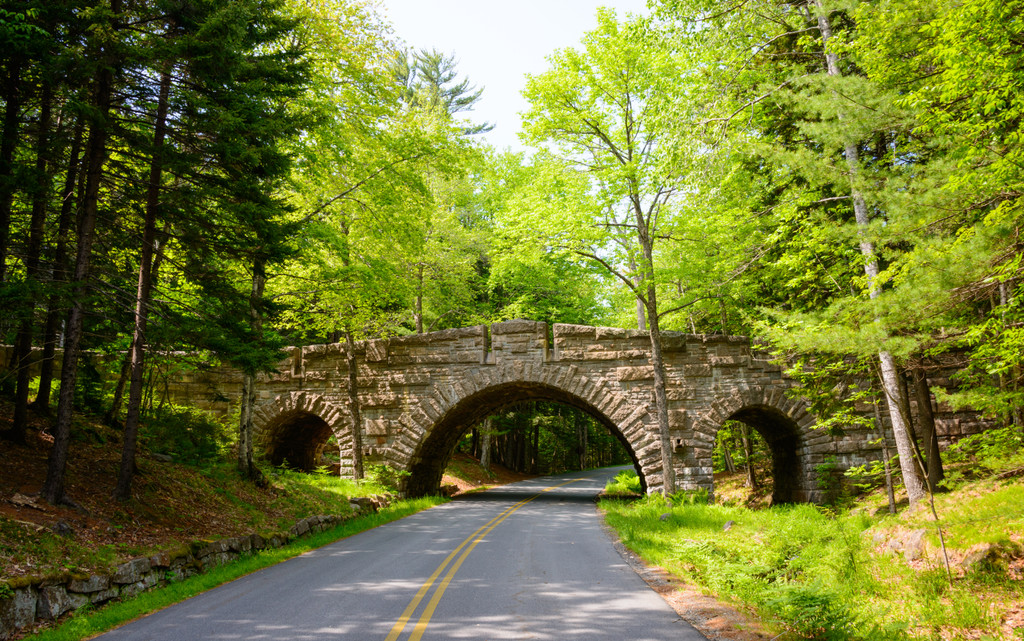 Carriage Road, Mount Desert