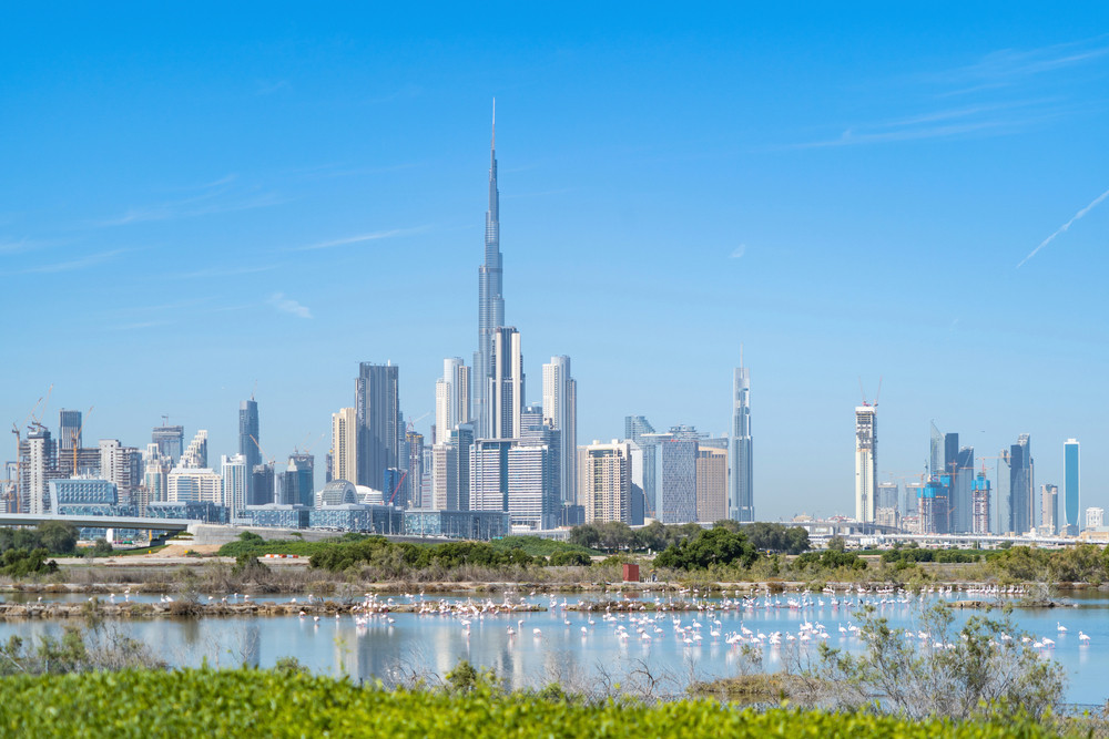 Ras Al Khor Wildlife Sanctuary, Dubai, UAE.