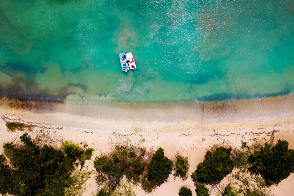 Vieques, Puerto Rico.