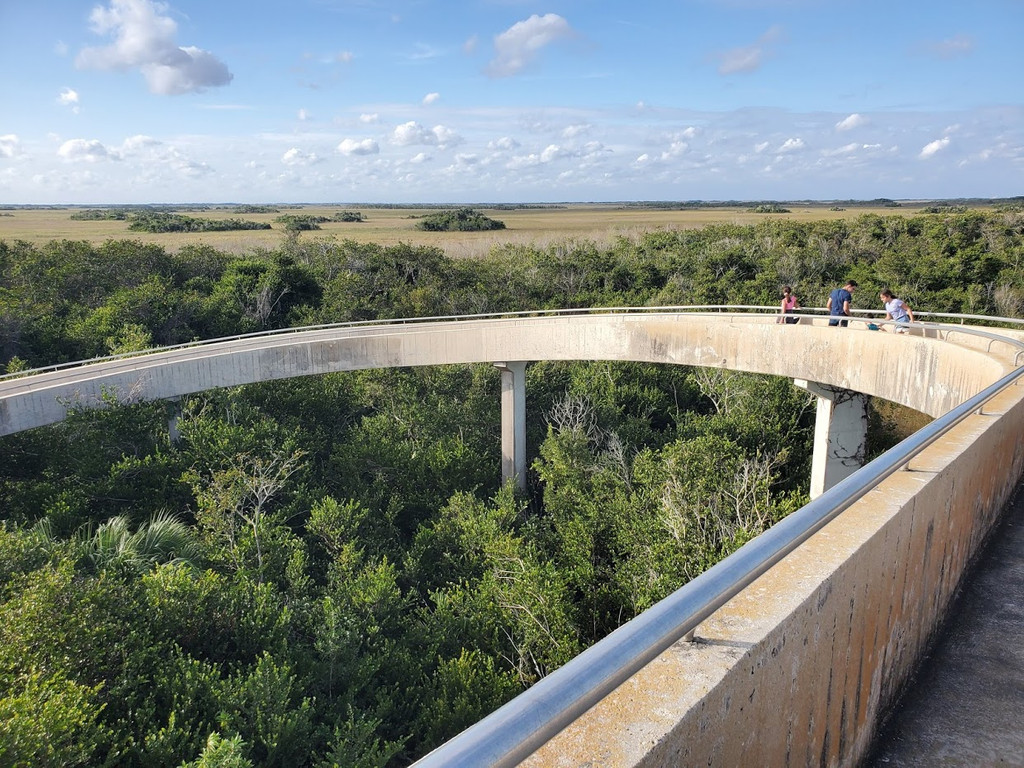 Shark Valley Observation Tower, Miami