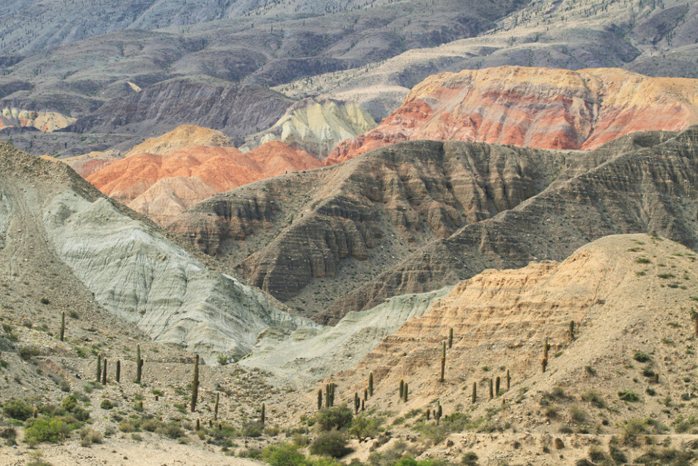 Campo Quijano, Salta province, Argentina.