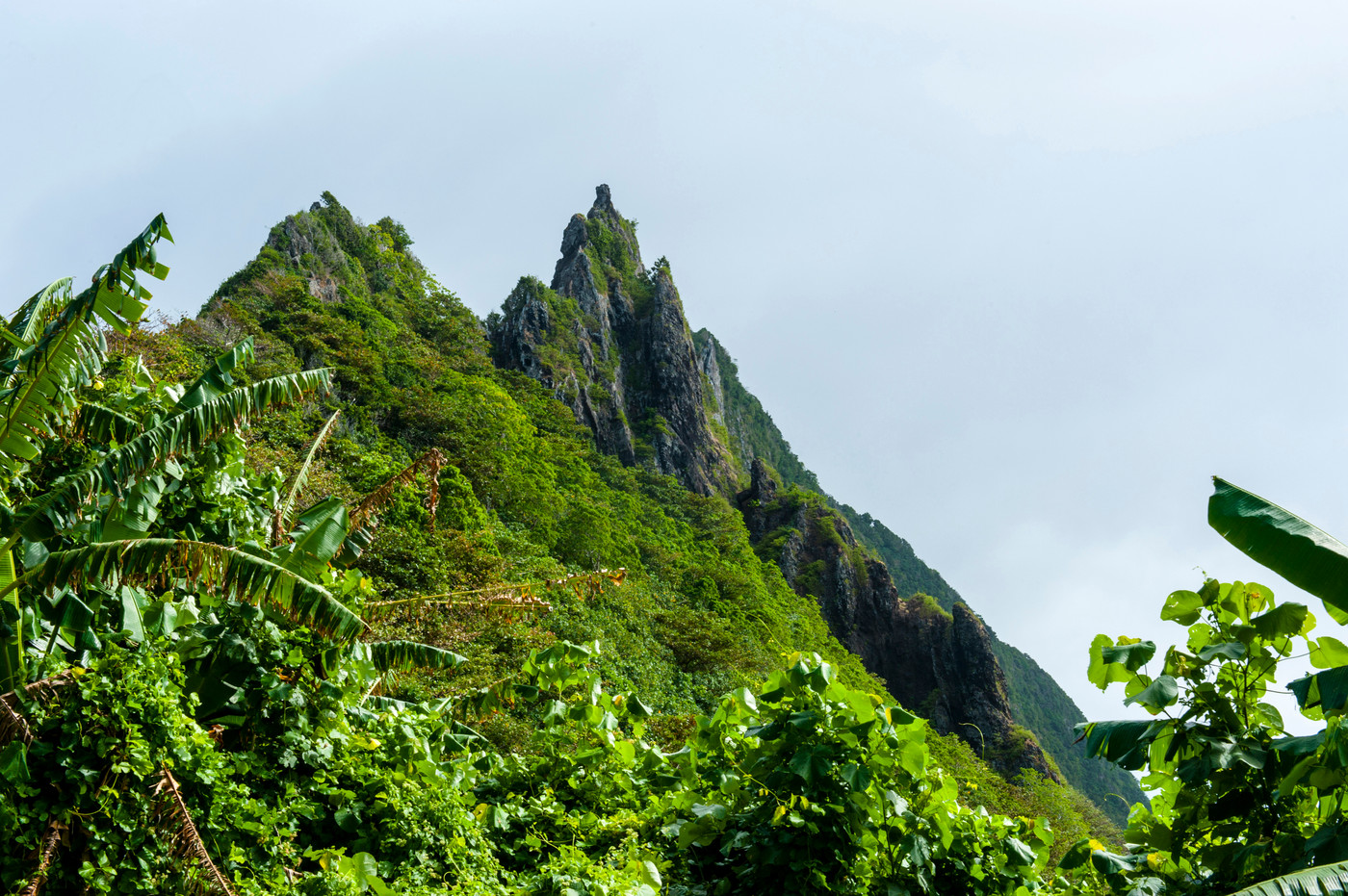 Ofu Beach, Manu'a