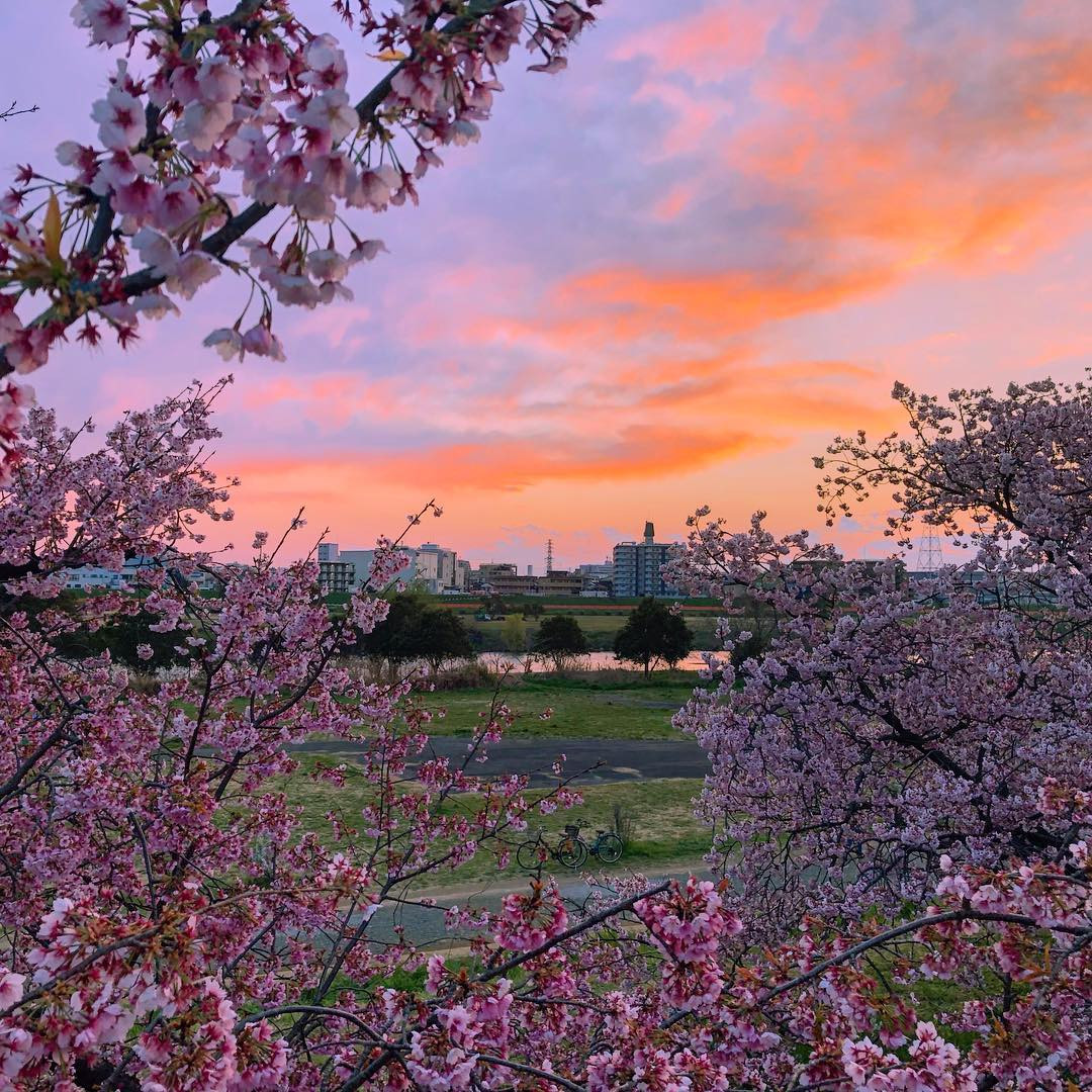 Tama River Walk, Tokyo, Japan. instagram.com/ryotakuro