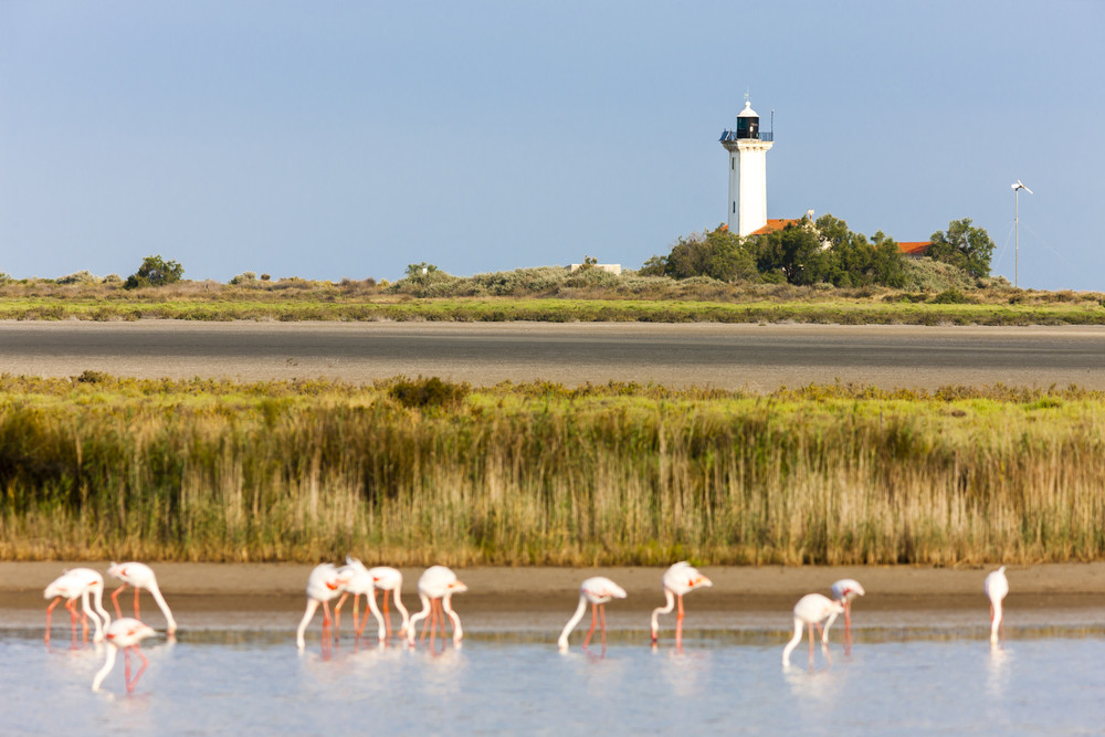 Lighthouse Gacholle, Camargue, France.