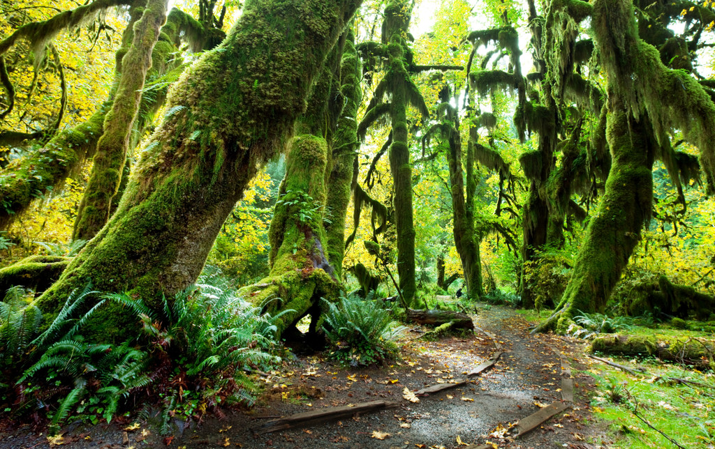 Olympic National Park, Port Angeles